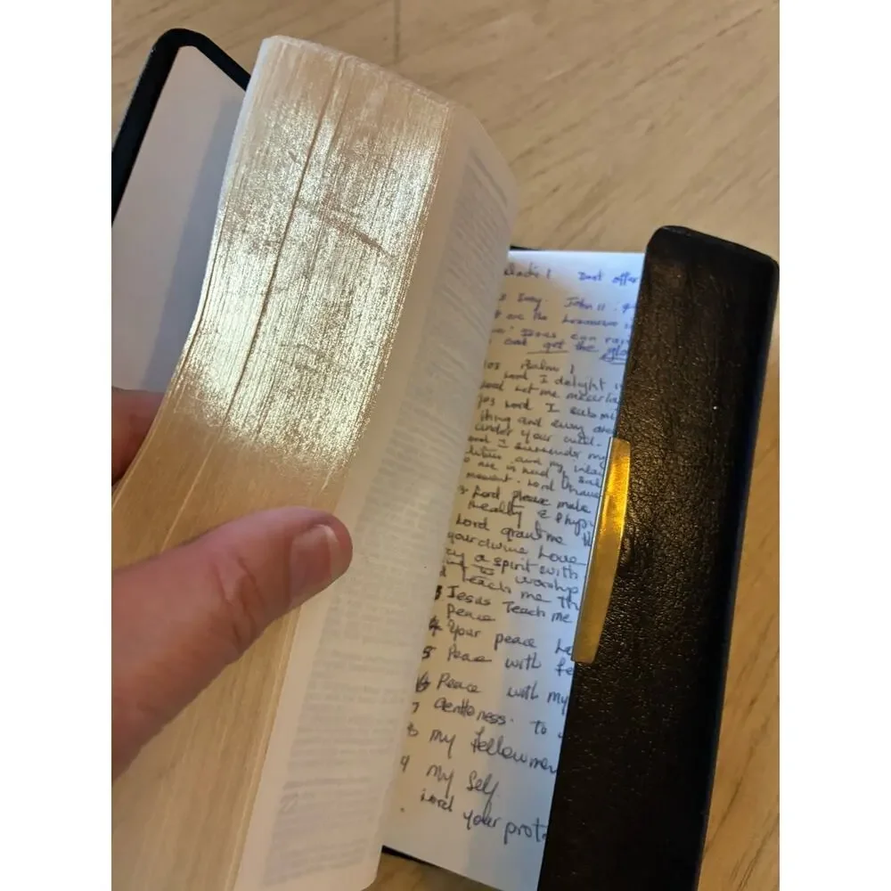 bible new king